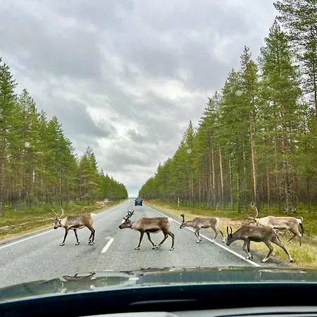 Aurora By The Slopes, Views, In, Hike & Xc-ski Trails - Lapland *