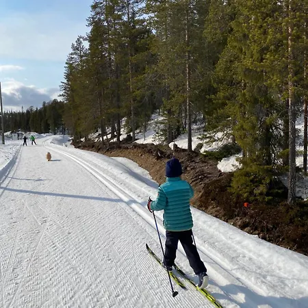 Aurora By The Slopes, Views, In, Hike & Xc-ski Trails - Lapland *