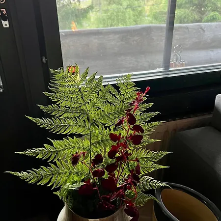 Aurora By The Slopes, Views, In, Hike & Xc-ski Trails - Lapland 아파트 루카