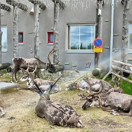 Apartment Aurora By The Slopes, Views, In, Hike & Xc-ski Trails - Lapland *