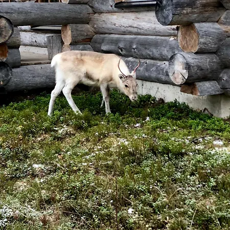 Daire Aurora By The Slopes, Views, In, Hike & Xc-ski Trails - Lapland Ruka