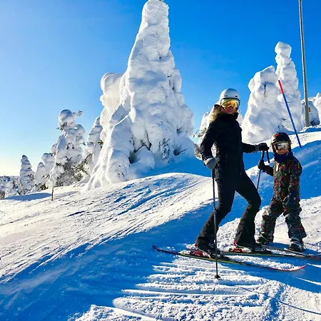 Aurora By The Slopes, Views, In, Hike & Xc-ski Trails - Lapland *