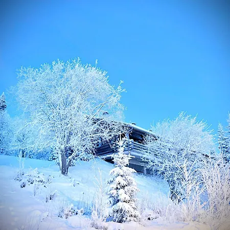 아파트 Aurora By The Slopes, Views, In, Hike & Xc-ski Trails - Lapland